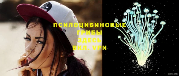 прущая мука Елизово