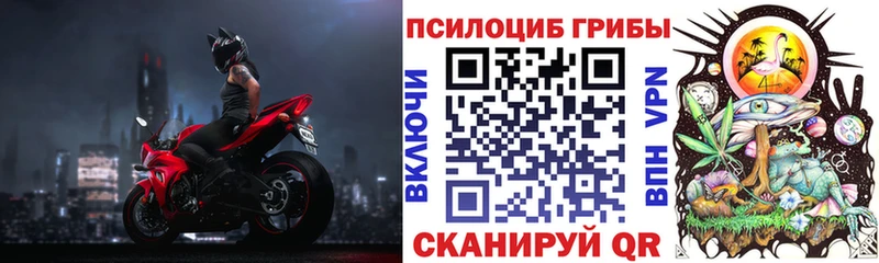 Купить  Сольцы  Псилоцибиновые грибы GOLDEN TEACHER 